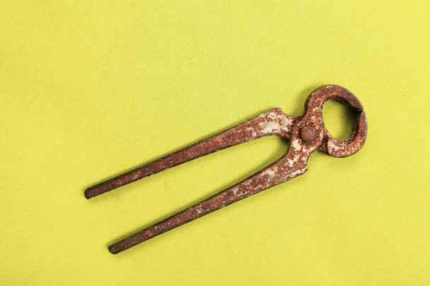 استخاره در نی نی سایت: 21 تجربه خواندنی